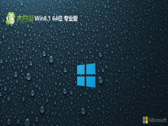 ײwin8.1 64λ ⼤רðv2024.06