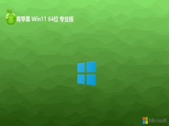 ƻϵͳv2024.05win11 64λŲ